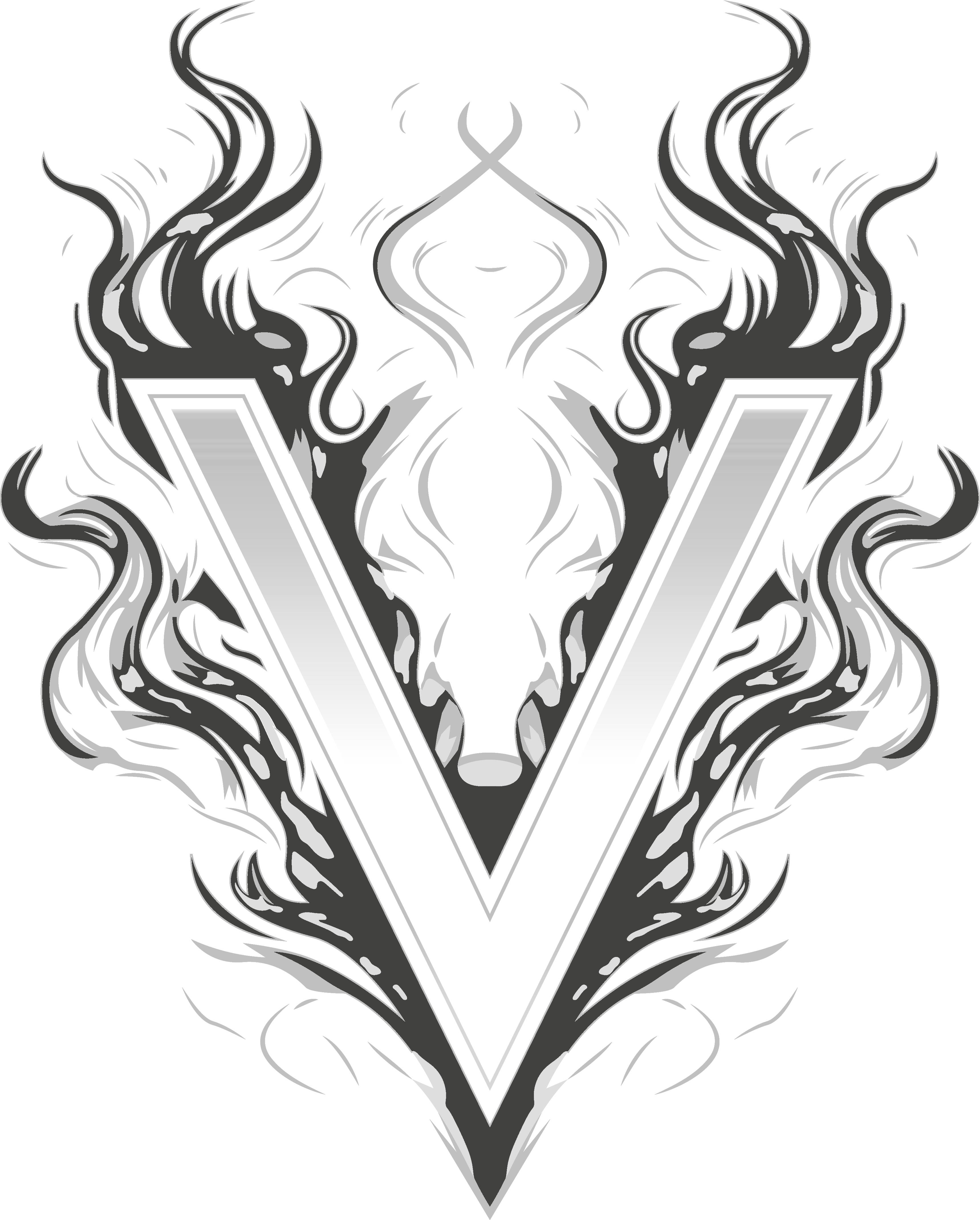 ShadowVeil
